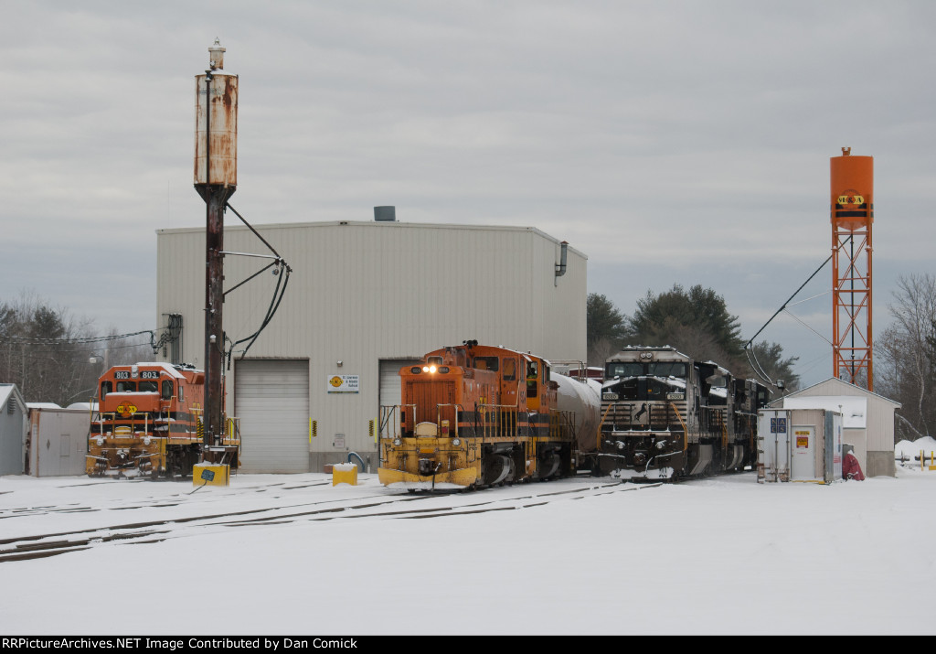 Visitors &amp; Regulars 